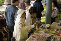 22年度日帰りバス旅行